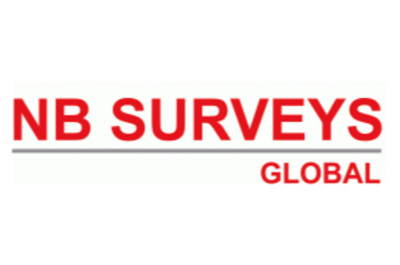 NB Surveys